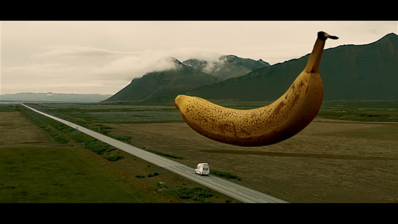 DIRECTORs Banana